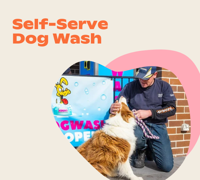 Dog Wash