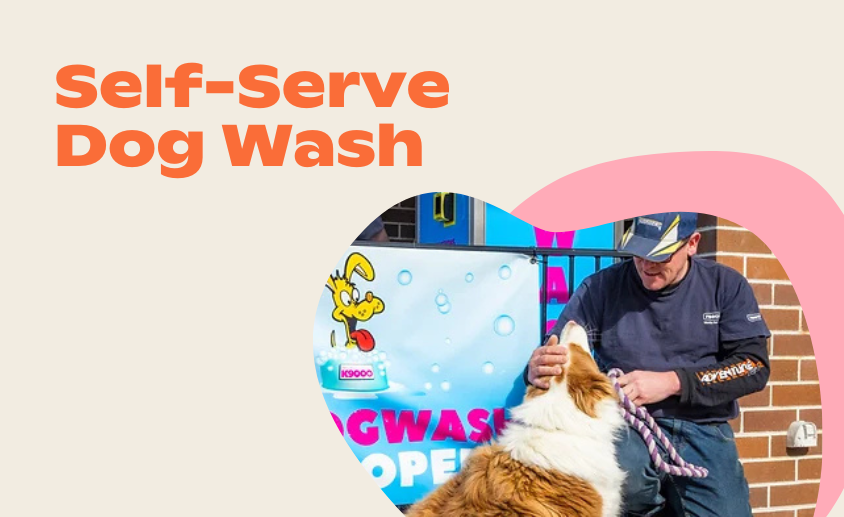 Self Serve Dog Wash